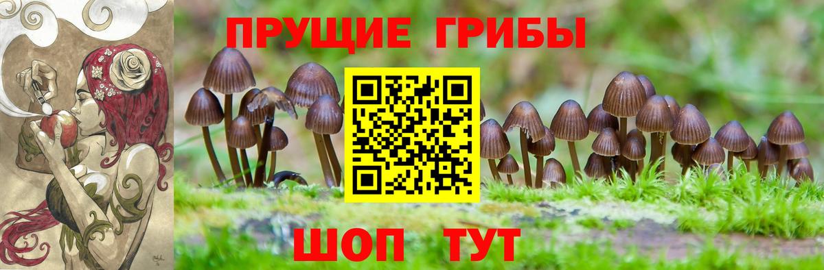 Галлюциногенные грибы MAGIC MUSHROOMS Шелехов