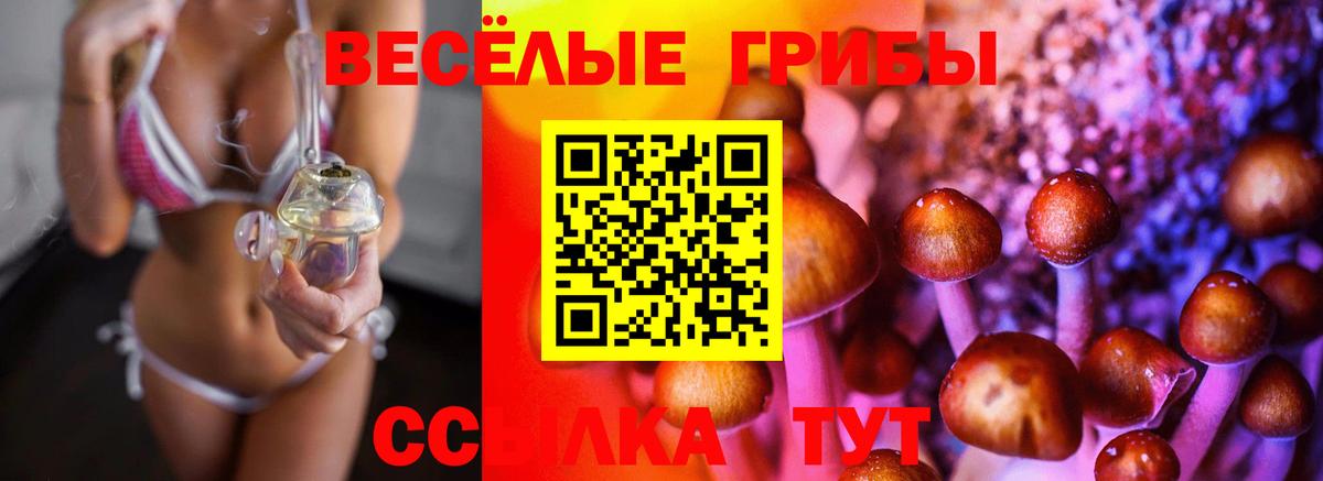 Псилоцибиновые грибы прущие грибы  Галлюциногенные грибы GOLDEN TEACHER  Вход с VPN  сколько стоит  Шелехов 